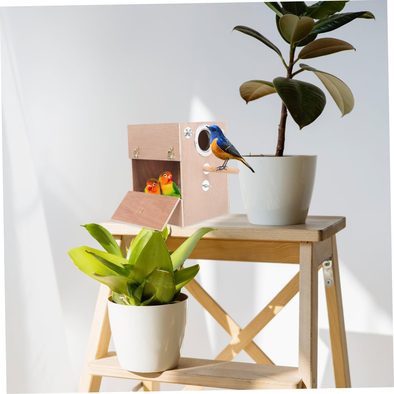 Angoily Nichoir en Bois pour Perroquets Et Petits Oiseaux Nichoir pour Perruches Et Oiseaux