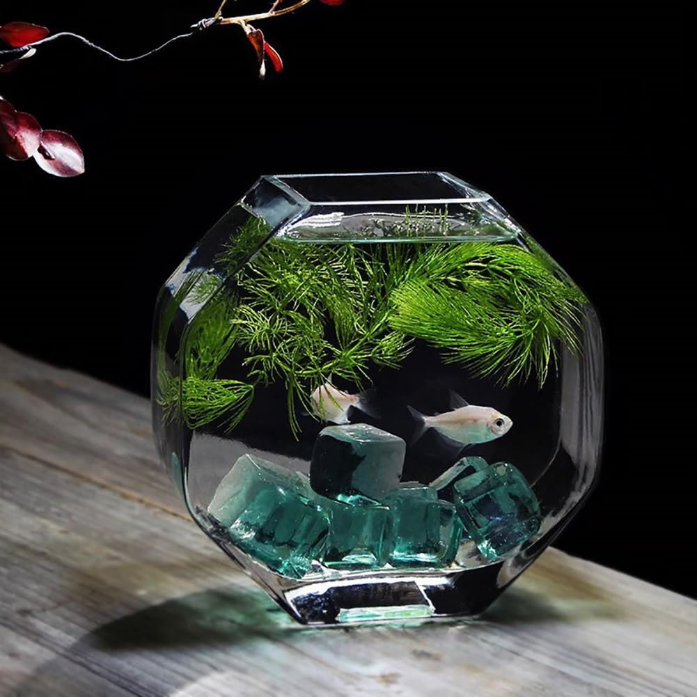 Piccolo Acquario da Tavolo per Uso Domestico, Vasca per Pesci Ottagonale in Vetro Ultra Trasparente, con Base per Lampada in Legno, Contenitore per L'allevamento di Pesci Betta,Small h