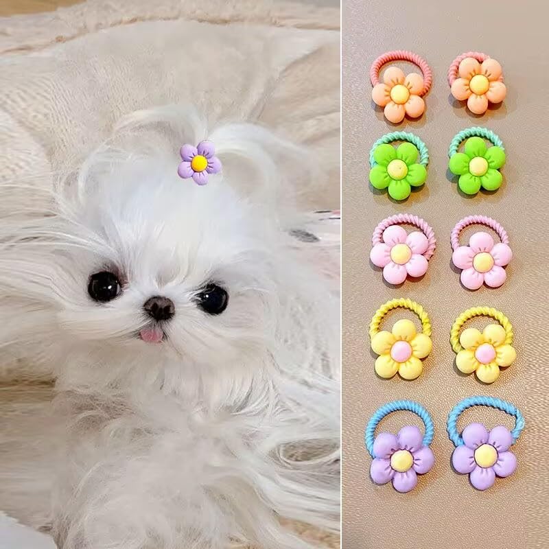 10 Stück (5 Farben) Hundehaar, Sonnenblumen, kleine Hundehaar-Accessoires, Schleife, Gummiband, Hunde-Kopfschmuck, für Teddy, Yorkshire, Malteser, zotteliger Hund, Langhaarhund