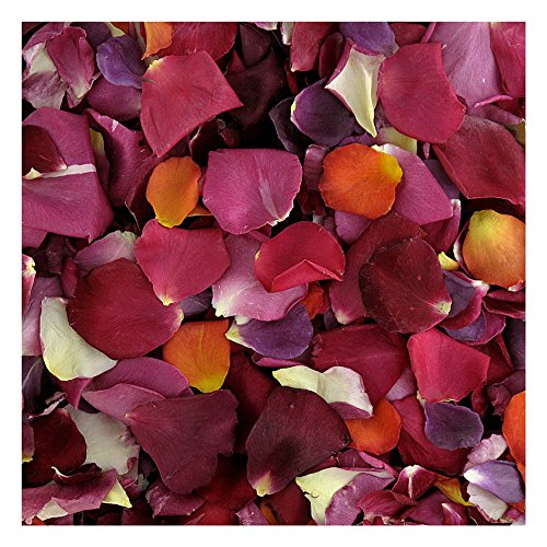 Rose Petals 240 Cups. Romantic Rendezvous Preserved Freeze Dried Rose Petals. Wedding Decoration. Real Rose Petals. Made in The USA. No Tariffs.