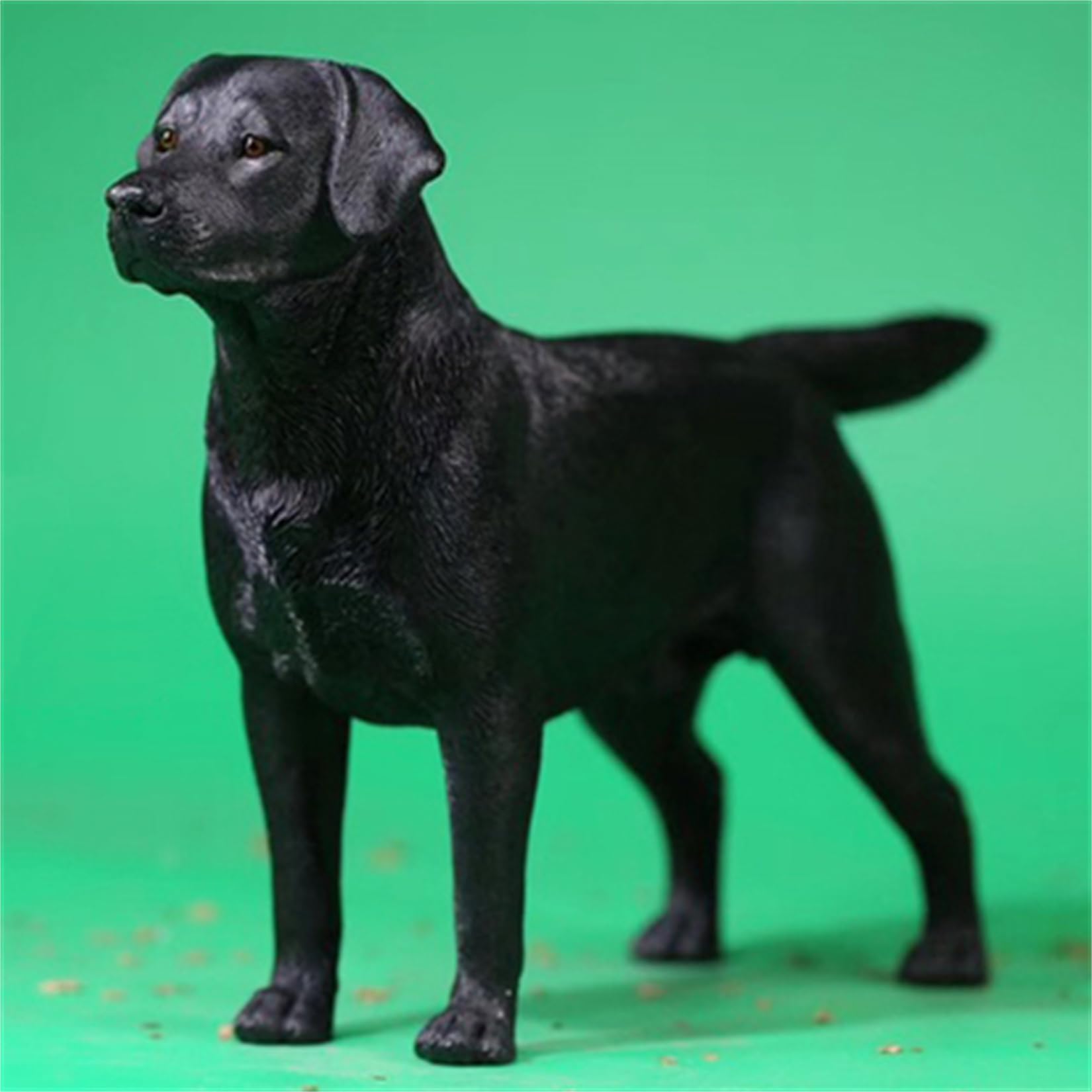 Amazon.co.jp: 1/6 サイズ ラブラドール・レトリバー 可愛い 犬 動物