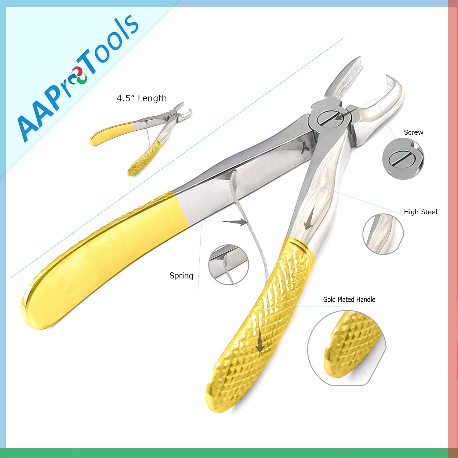 AAProTools Professional Dental Tarter Scraper and Remover Stainless Steel - Dental Instruments - Veterinarian Instruments (Gold Handle)