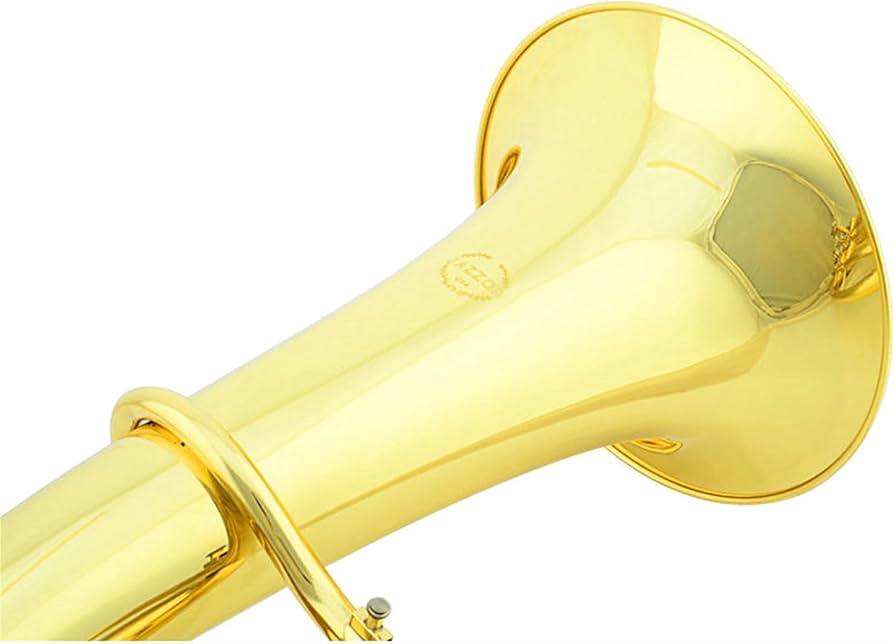 Amazon.com - SHUNTIAN Professional Euphonium B Flat Gold