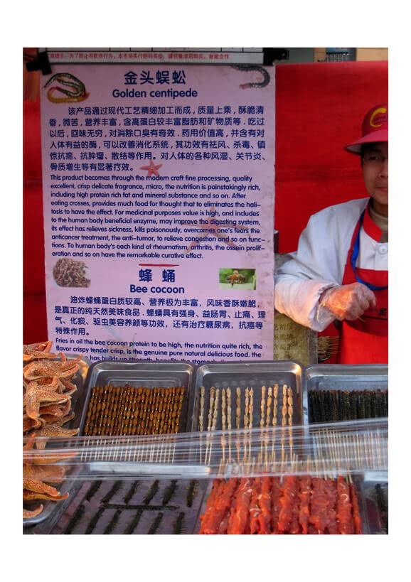 Poster mille-pattes grillé XL pour sublimer un salon moderne ou un bureau