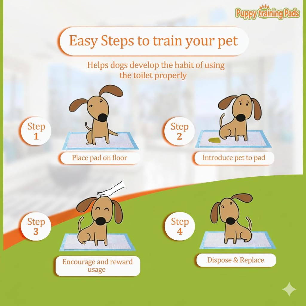 BUYOCKSS Puppy Training Pads Super Absorbent, Water Proof, Non Slippery, 40X60cm, Large, 100 Count, (puppy100) 2