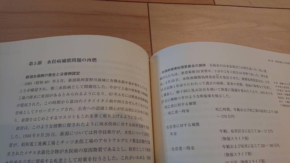 風雪の百年　チッソ株式会社史 Amazon.co.jp: 【風雪の百年 チッソ株式会社(日本窒素・水俣病