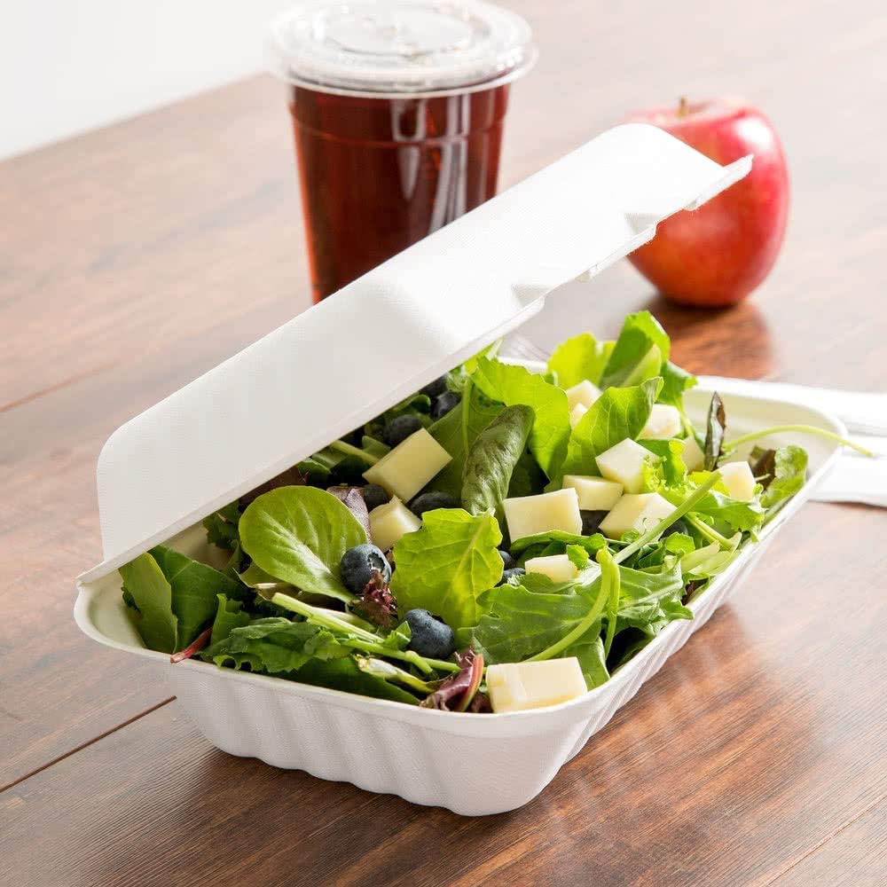 Hot Bargains White Bagasse Takeaway Container 9 X 6 Inch Single Compartment Food Box, Pack Of 250, Biodegradable
