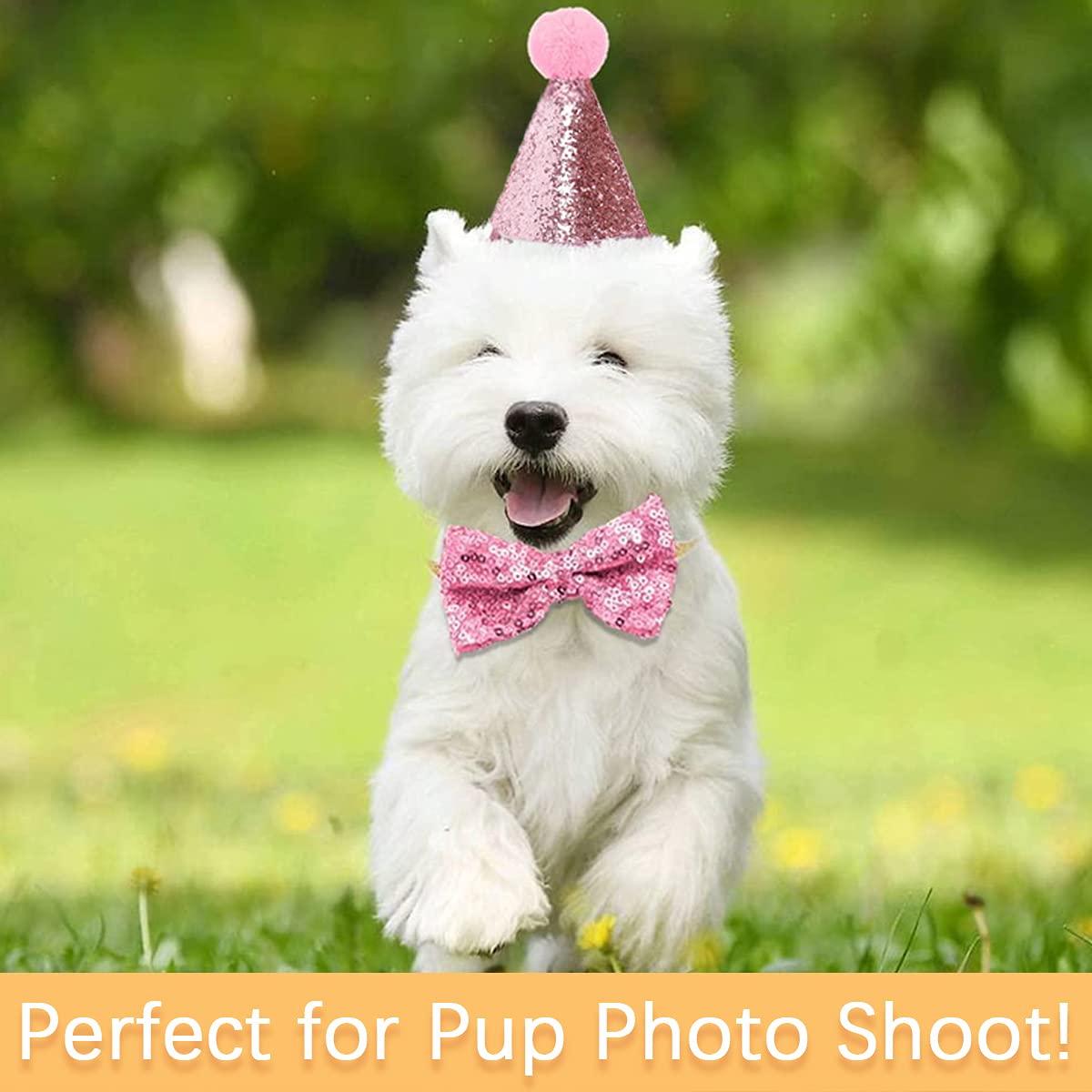 Happy Birthday Westie Hat Happy Birthday Pretty Special White