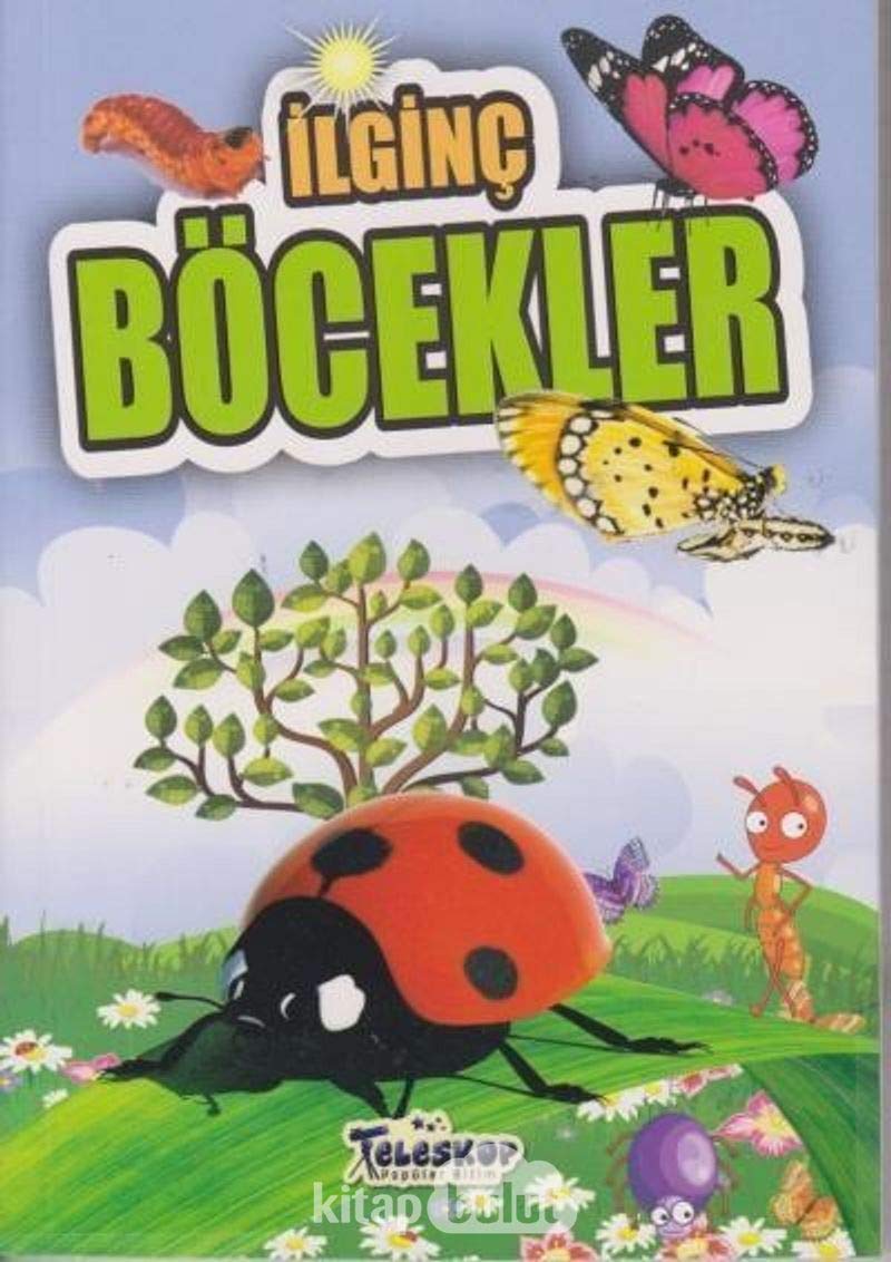 İlginç Böcekler