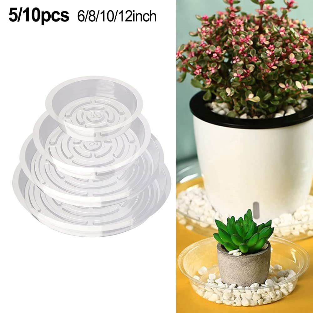 Plastica Trasparente Per Esterni | Foto di Giardini con Sassi Plastica Trasparente Per Esterni | Foto di Giardini con Sassi