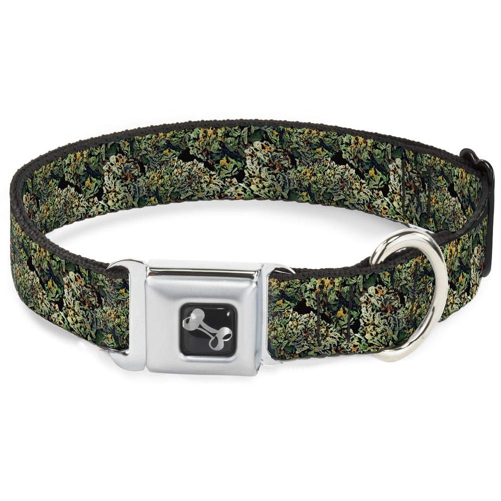 Collier de chien Buckle Down pour petites promenades urbaines au motif pépites