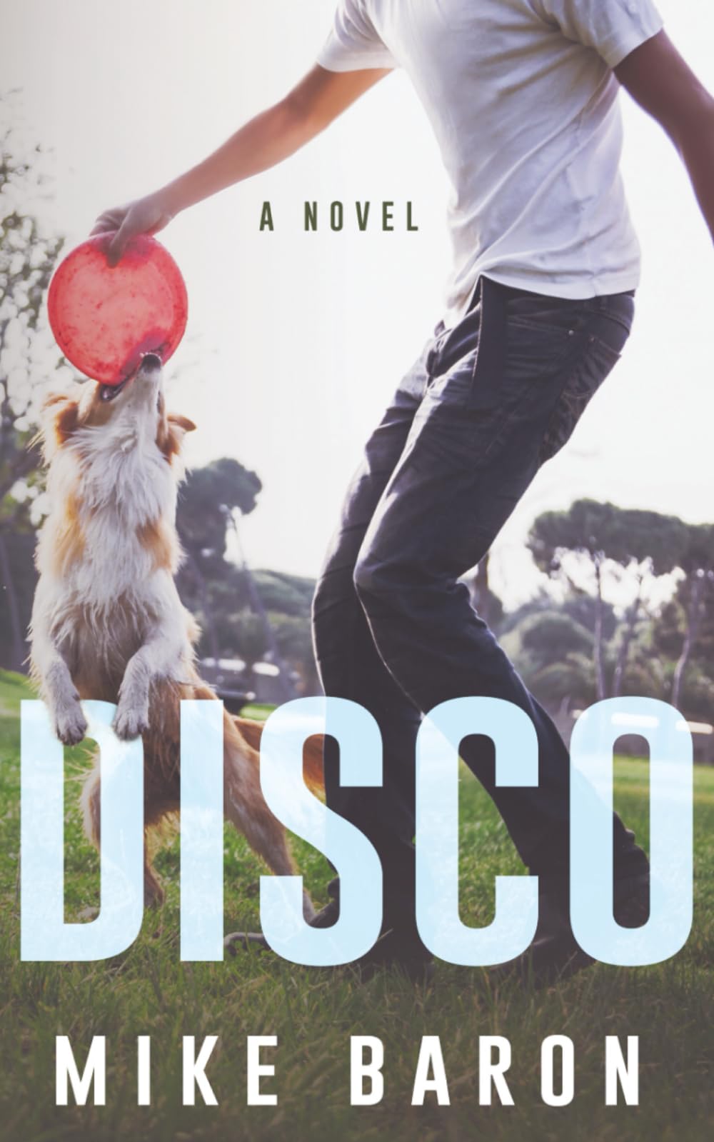Disco: A Coming of Age Novel