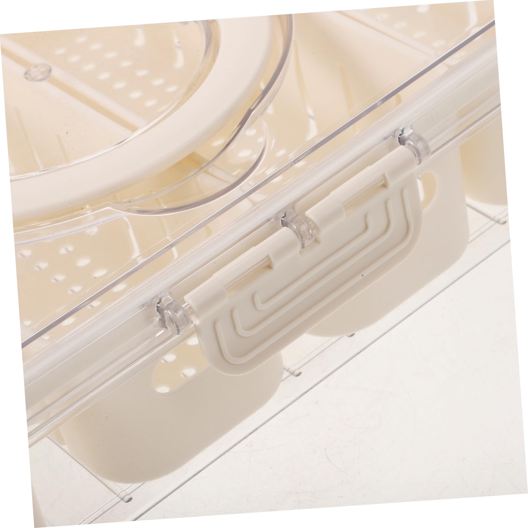 Transparenter Kühlschrankorganizer mit Fächern aus Reusable Pet | Deckel und Griff, Luftdicht Verschließbar, Getrennte Lagerung für Gewürze und Früchte