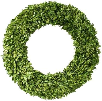 Preserved Boxwood Wreath 24 in. Tradingsmith