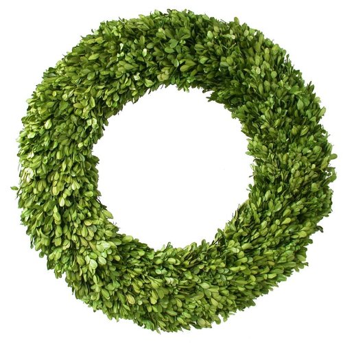 Tradingsmith Preserved Boxwood Wreath image