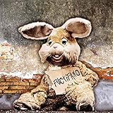 test schallplattenwaschmaschine  Fuctifano [Vinyl LP]