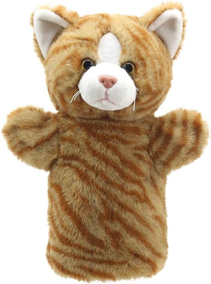 CAT (GINGER)