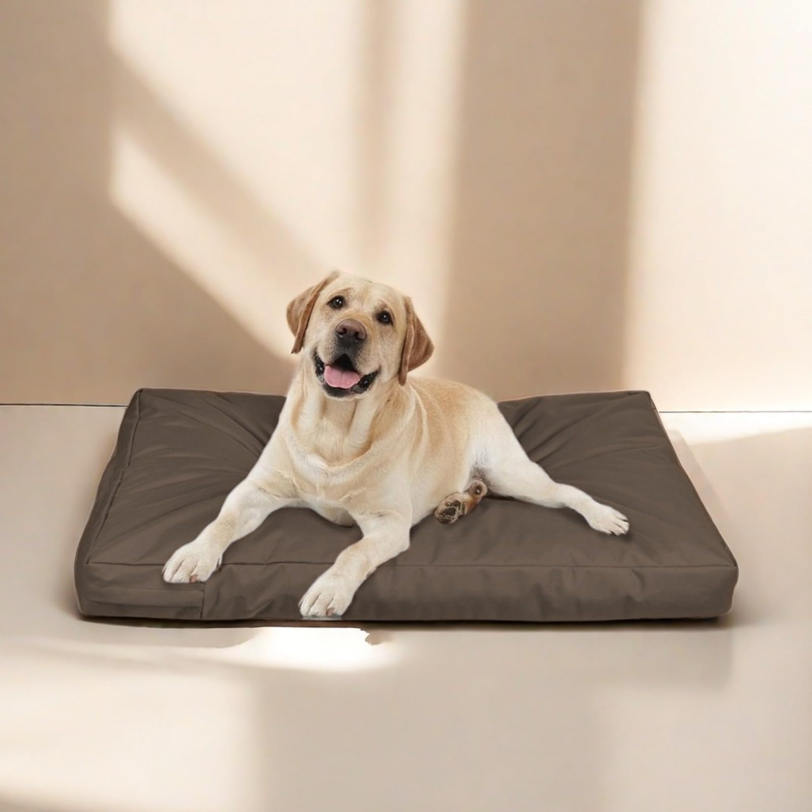 Generico Fodera di Ricambio per Lettino per Cani Fodera di Ricambio Rimovibile con Cerniera Copertura Protettiva per Letto per Interni coprimaterasso per Cani Lavabile e sfoderabile