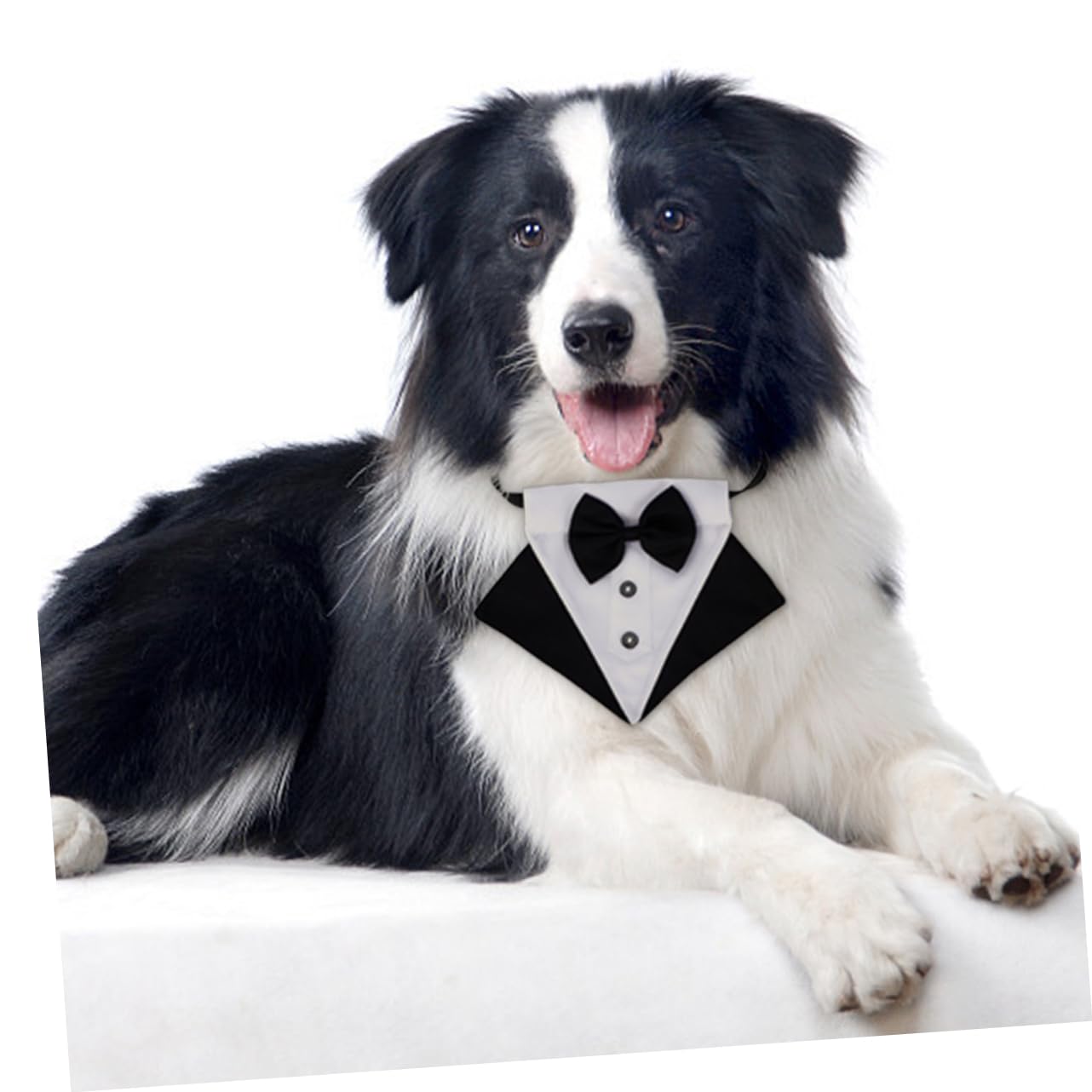 Toddmomy 3ensembles Bandana Triangulaire pour Chien avec Nœud Décoratif Écharpe De pour Animaux De Compagnie pour Sorties Photos