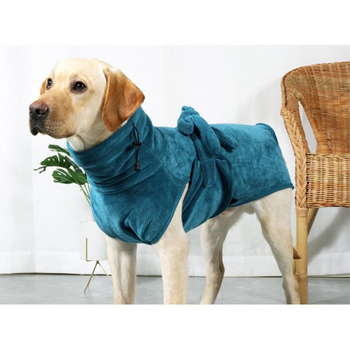 Hundebademantel im Herbst und Winter aus Nylon und Polyester Schnelltrocknender mit Verstellbarem Taillengürtel Hautfreundlich Warm für Hunde und Welpen