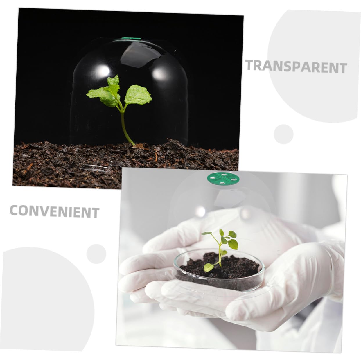 Yardenfun 3 Stück Mini Gewächshaus Pflanzkuppel aus Robustem Pet Material Transparente Pflanzenhaube für Anzucht Frostschutz und Schutz im Garten Vielseitig als Garten Cloche für Blumen