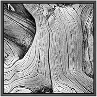 SIGNWIN Framed Canvas Wall Art Old Aged Knotted Wood Grain Tree Bark Nature Texture Photography Minimalism Modern Closeup Dramatic Black and White for Living Room, Bedroom, Office - 16