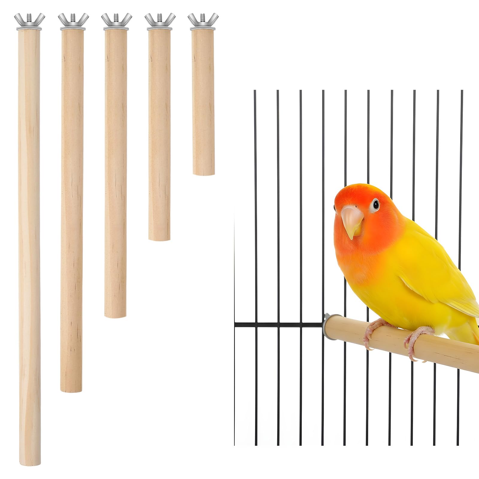 Guduling 5-Pack Bird Cage Perch,Natural Wood Bird Cage Perch,Birds Perches for Cages with Assorted Sizes (10–30 cm) for Parakeets, Cockatiels, Budgies,Chewable Climbing Sticks for Foot Exercise