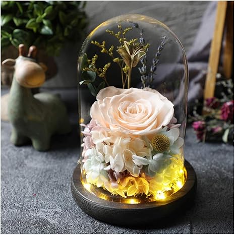 Amazon Hsbais ガラスポット 保存花プリザーブドフラワー 枯れない花 生花 本物のバラで永遠の花 フラワーアレンジドライフラワー 木製ベース 飾り バレンタイン プレゼント 母の日 Beige プリザーブドフラワー オンライン通販 Amazon Hsbais ガラスポット 保存花プリザーブドフラワー 枯れない花 生花 本物のバラで永遠の花 フラワーアレンジドライフラワー 木製ベース 飾り バレンタイン プレゼント 母の日 Beige プリザーブドフラワー オンライン通販