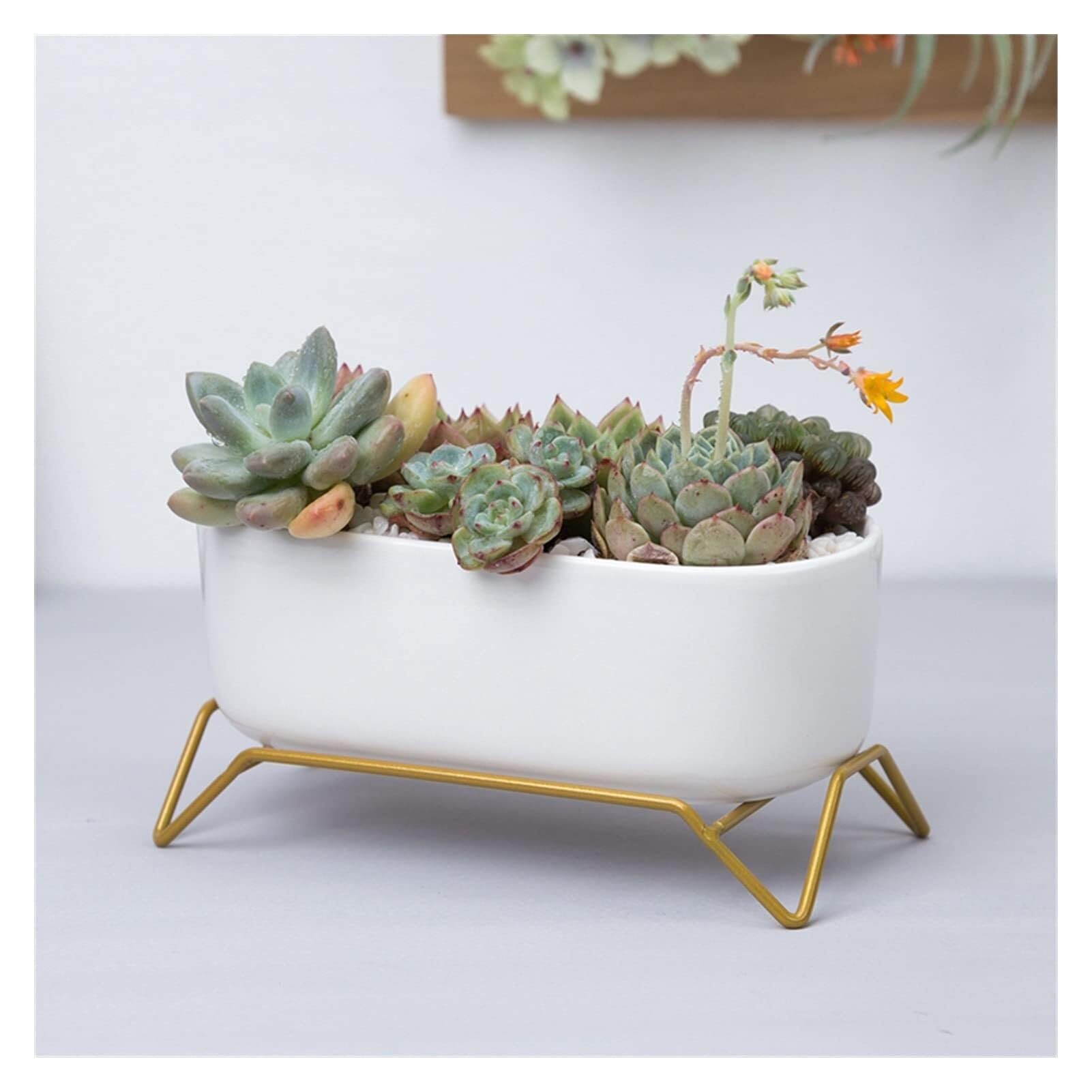 Biała ceramiczna doniczka ze złotym metalowym stojakiem owalna doniczka na sukulenty kaktus z otworem drenażowym 17 x 8,5 x 5,5 cm na biurko wystrój domu i małe rośliny domowe