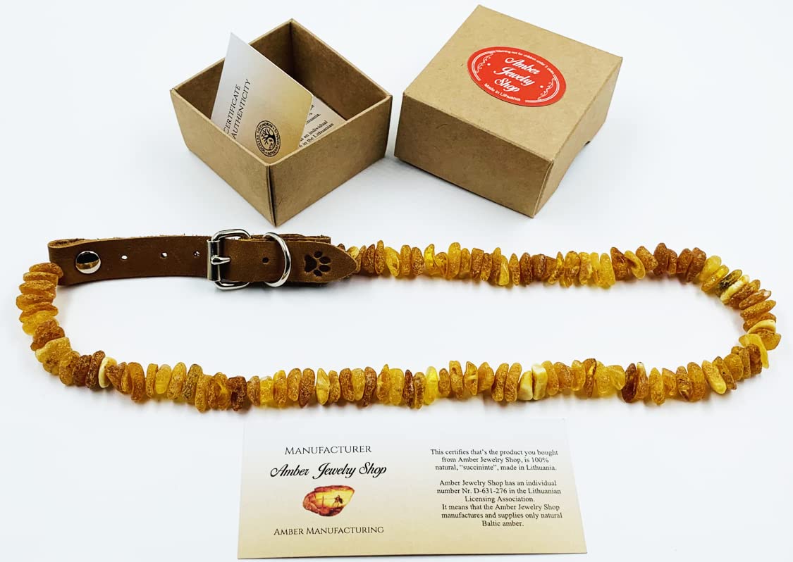 Collari in ambra per cani, perline grezze in ambra baltica naturale (40-45 cm)