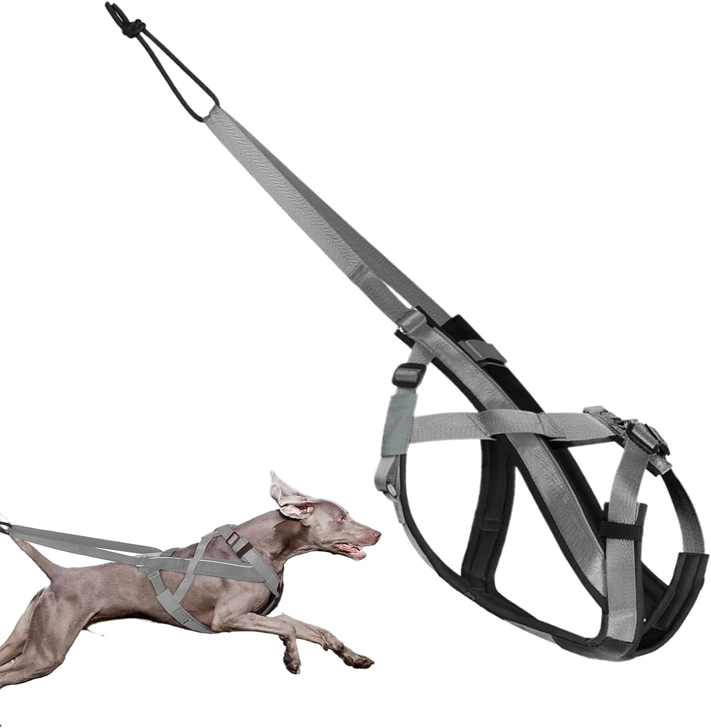 Dog Pulling Harness – Reflective Dog Running Harness | Adjustable Strap for Exercise Sports Walking Training Skating Outdoor Activities Sled Pulling