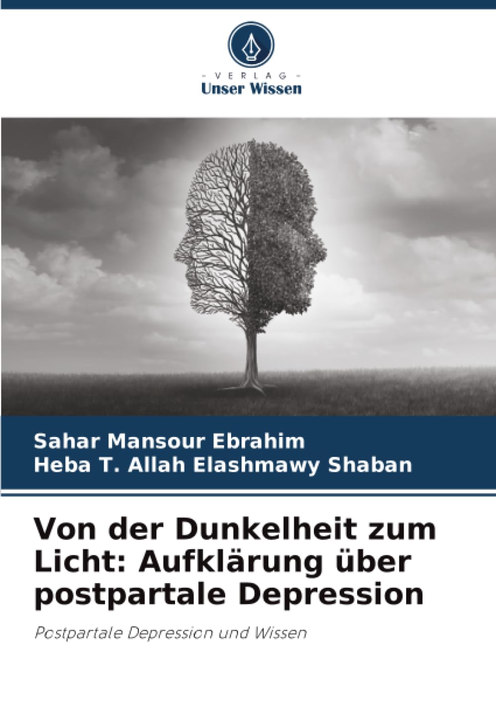 Von der Dunkelheit zum Licht: Aufklärung über postpartale Depression: Postpartale Depression und Wissen