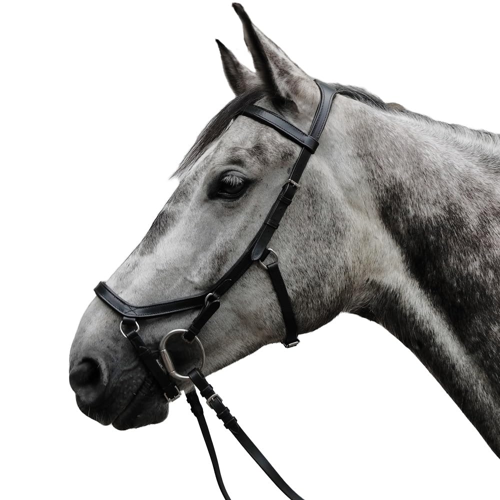 Brama West Trensenzaum Anatomic Pferde-Trense aus Rindsleder anatomisch ohne Strasssteinen, Gr. Cob
