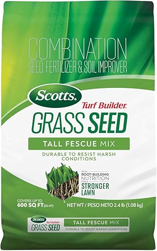 Scottssemillas de césped -Mix Tall Fescue