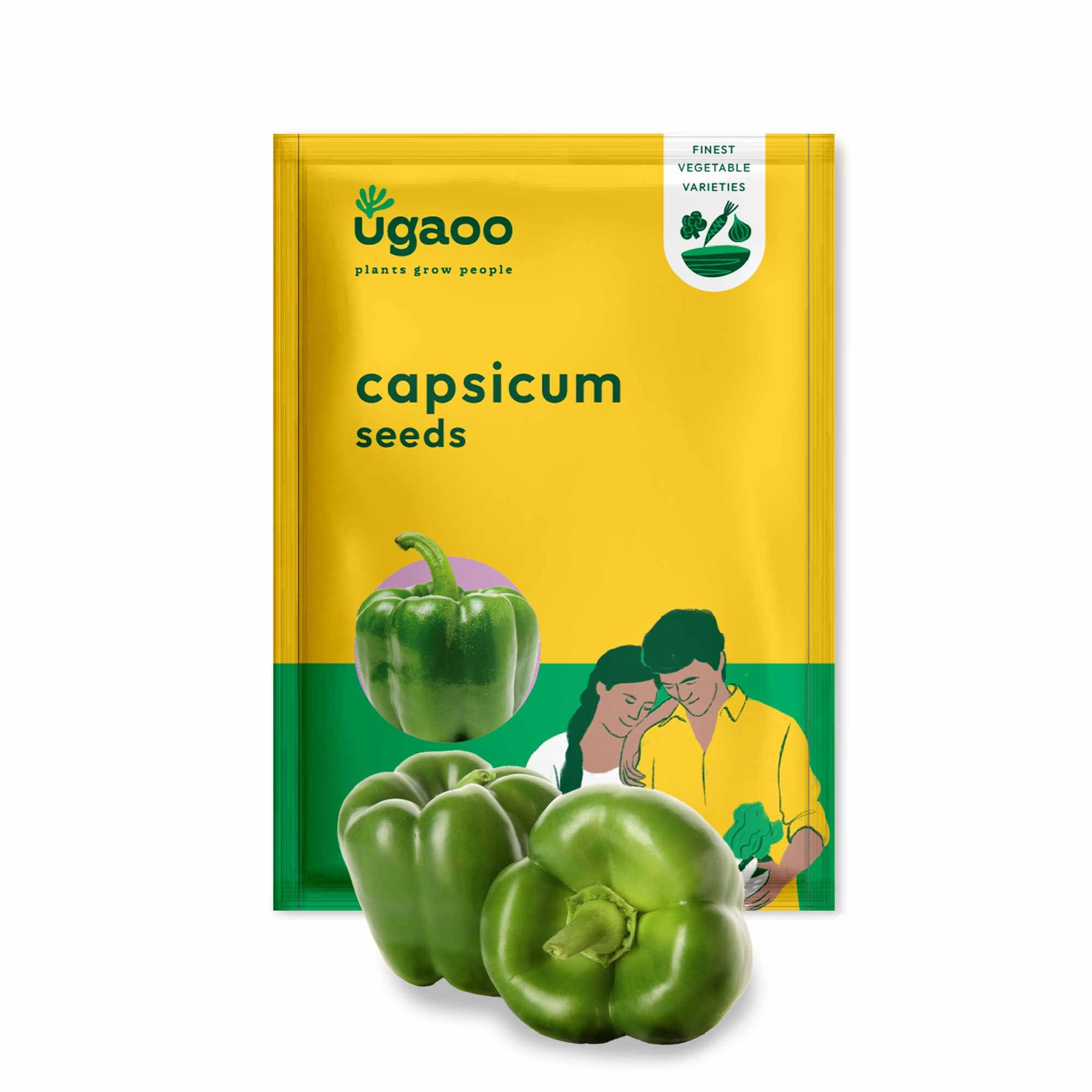 UGAOO Capsicum Vegetable Seeds (Green, Pack of 50 Seeds)