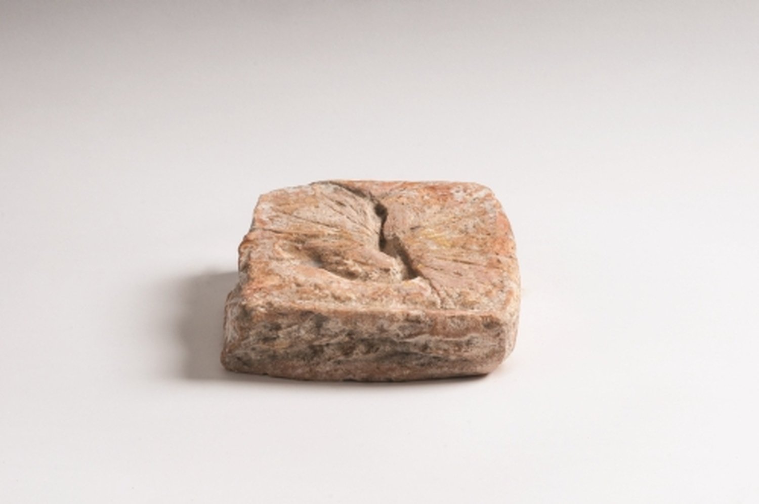 Losa Cow Milk Cheese Beppino Occelli Approx. 650 gr.