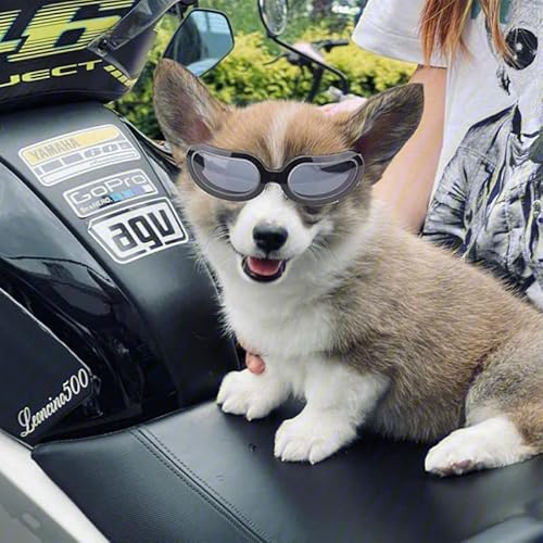 Taicols Casco per animali domestici, antivento