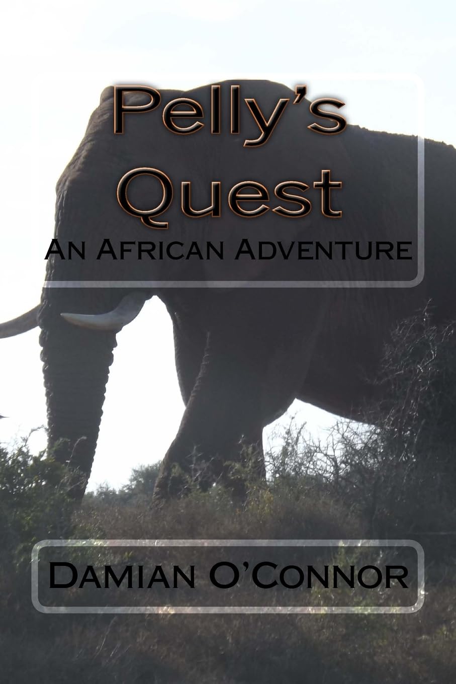 Pelly's Quest: An African Adventure: Volume 1 (Pelly Family Saga)