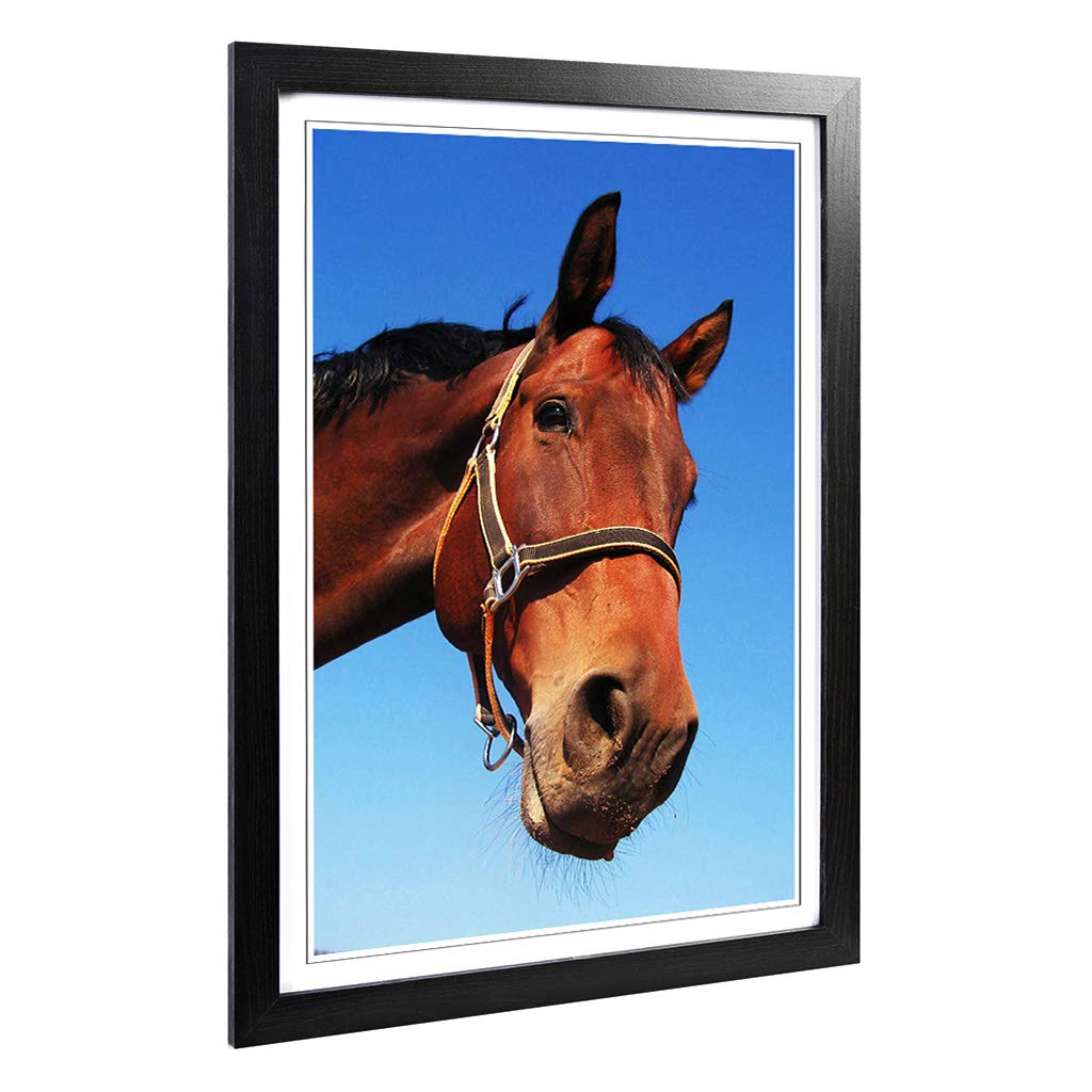Big Box Art Framed Print of Horse Design | Wall Art Picture | Home Decor for Kitchen, Living, Dining Room, Lounge, Bedroom, Hallway, Office, Black, A2 / 24.5x18 Inch / 62x45cm