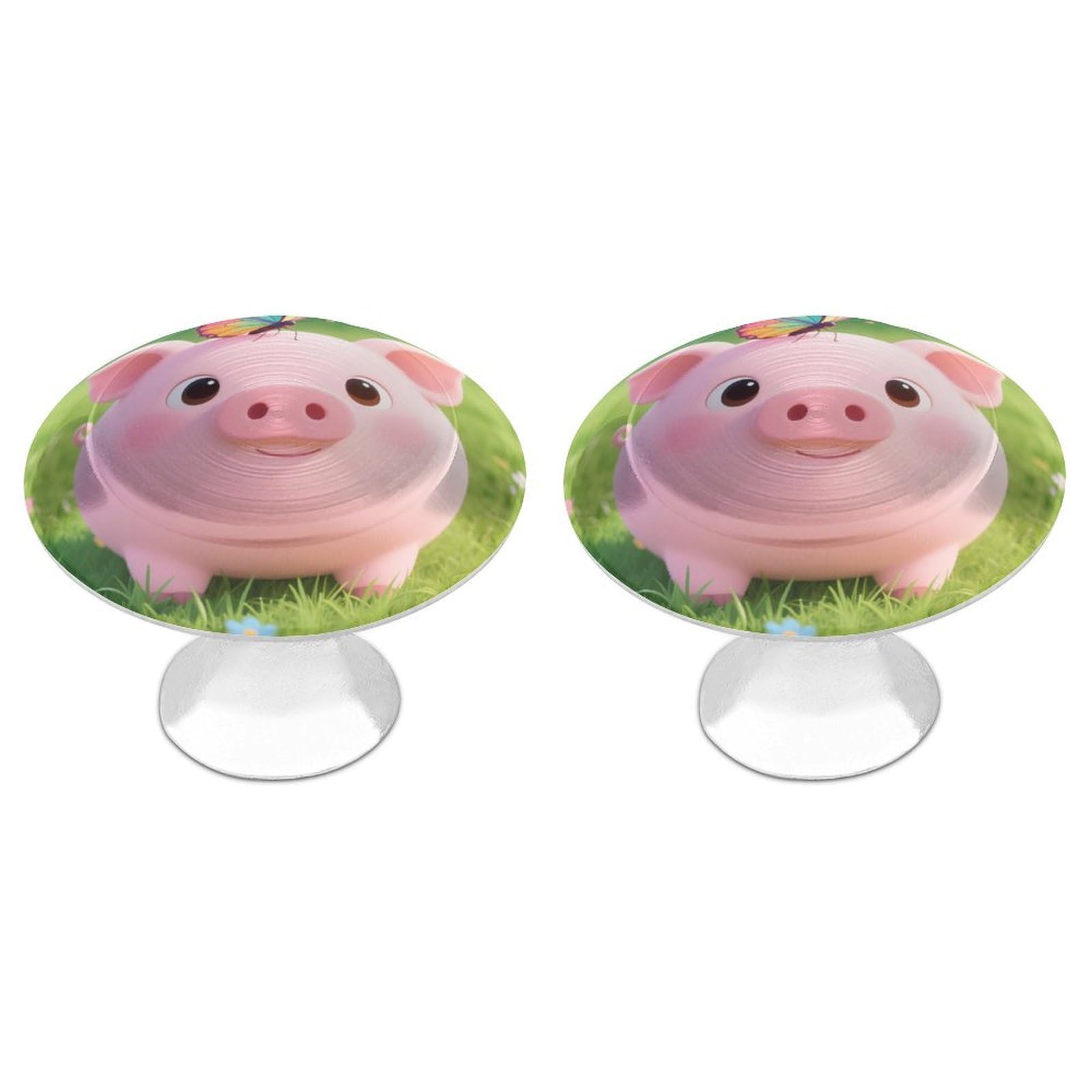 DWVTSLH Pig Cabinet Handles 2 Pack Stainless Steel Kitchen Drawer Pulls with Installation Screws Round Dresser Drawer Knobs 1.1 Inch Modern Cabinet Hardware Door Handles