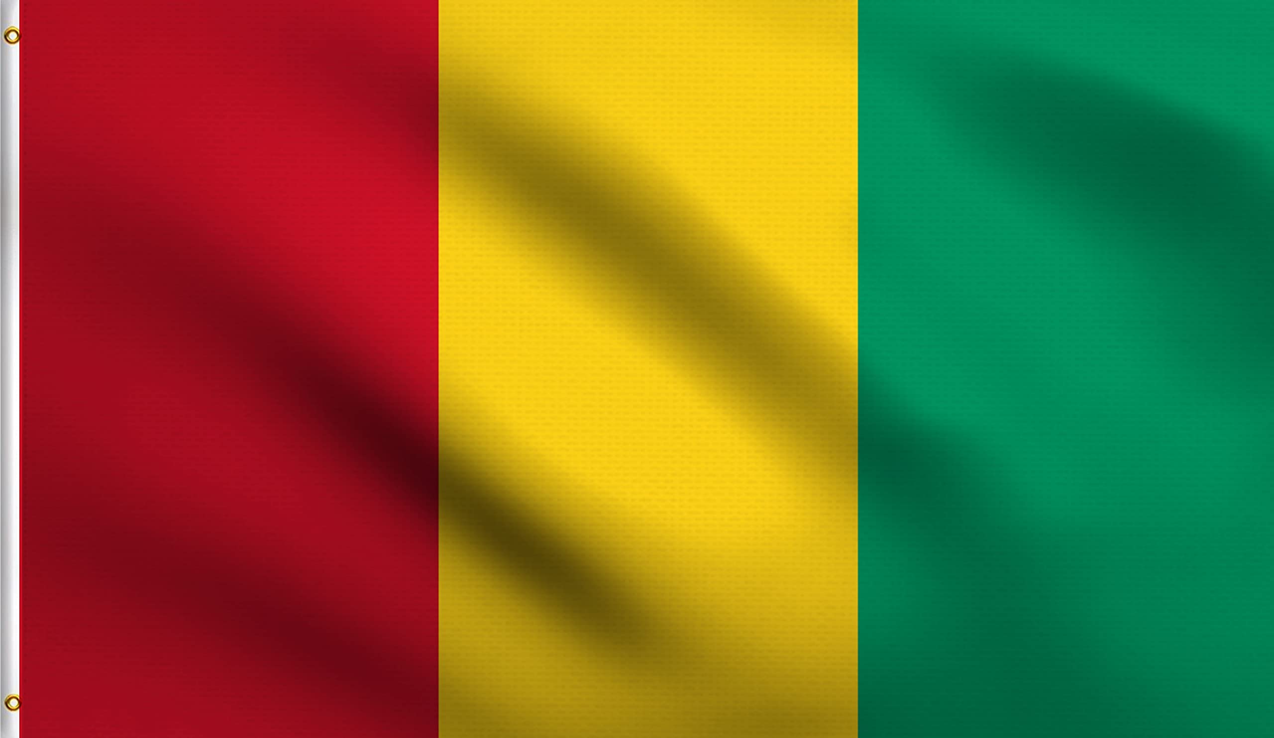 DMSE Guinea Guinean African Country Flag 3X5 Ft Foot 100% Polyester 100D Flag UV Resistant (3' X 5' Foot)