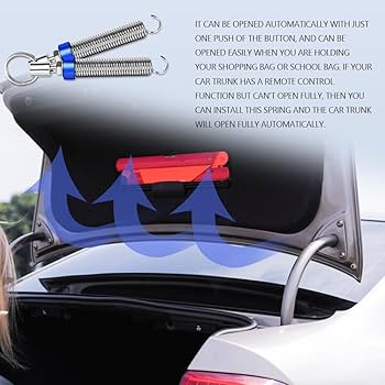Amazon.com: 2PCS Car Trunk Lid Spring, Automatic Lifting