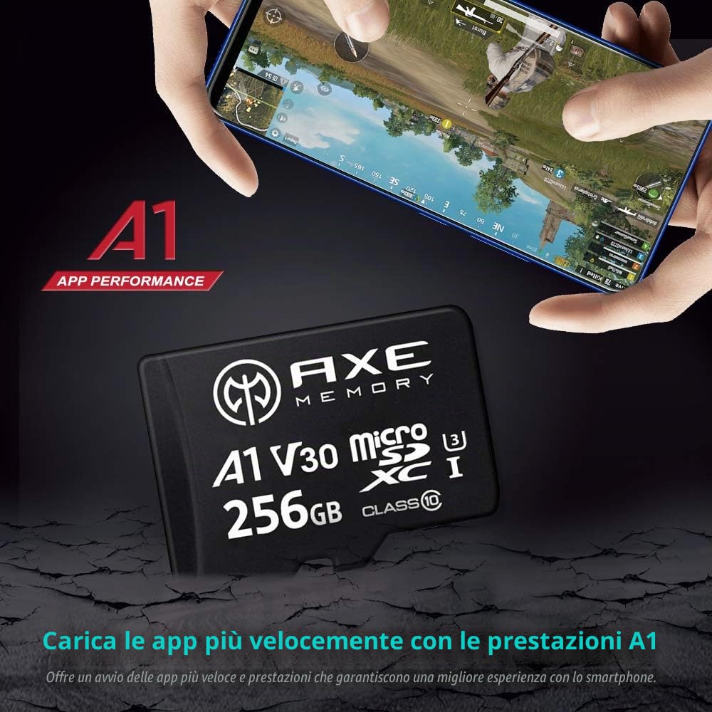 AXE MEMORY Scheda Micro SD 256 GB, Memoria MicroSDXC per Nintendo-Switch, GoPro, Drone, Smartphone, Tablet, 4K Ultra HD, A1 UHS-I U3 V30 C10, Lettura Fino a 95 MB/s, con Adattatore SD