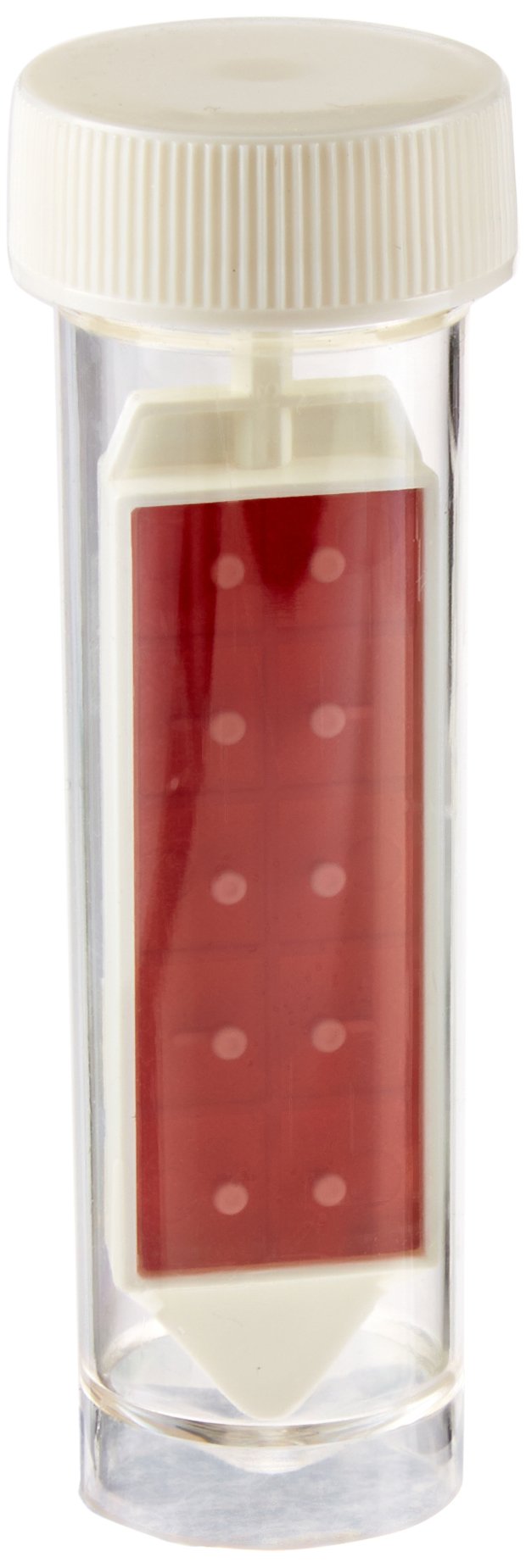 Hach Paddle Tester, Total Aerobic Bacteria/Total Coliforms, (Pack of 10), 2610910