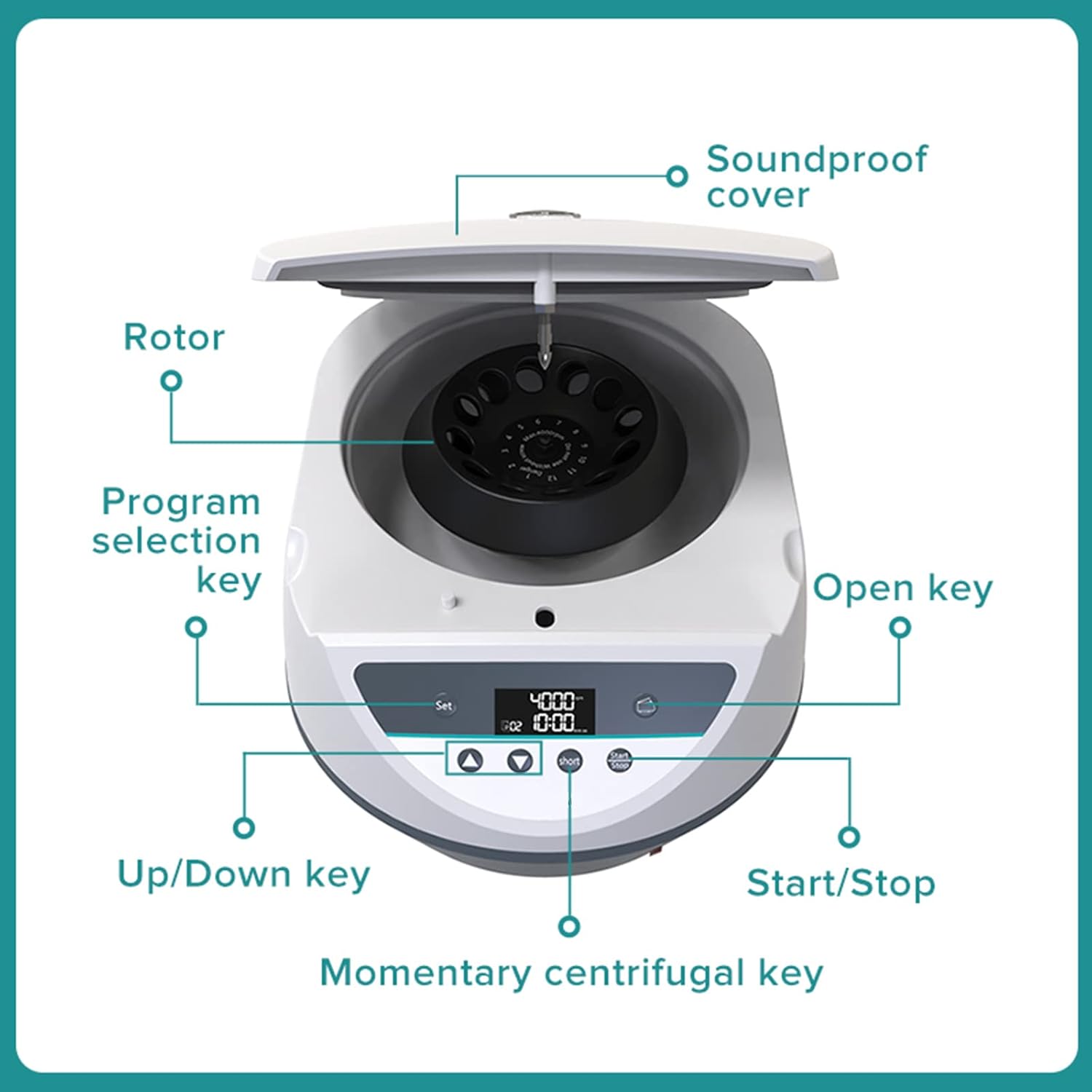 Plasma Centrifuge Lab Digital Benchtop Centrifuge Machine Beauty Centrifuges, 500-4000rpm/min,12X10ml Tube, Large Capacity LCD Display for Blood/Serum/Plasma/Fat Separate