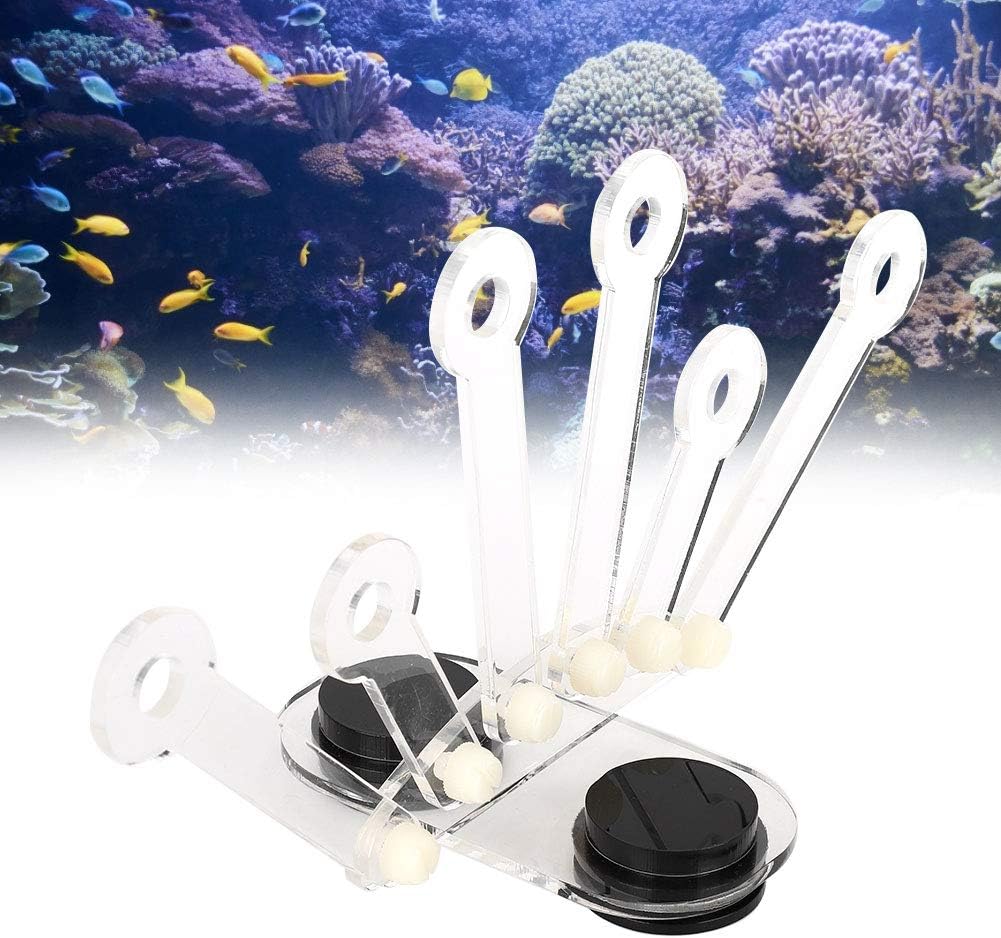 Coral Frag Rack Acrylic Magnetic Coral Frag,Premium 6 Hole Acrylic Coral Rack Strong Magnet Bracket for Dynamic SPS Coral Arrangement for Marine Aquariums and Coral Cultivation