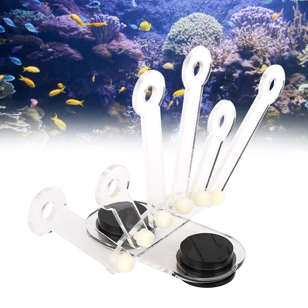 Acquario acrilico Rack Acquario Fish Tank Staffa Rack Staffa di corallo forte magnete per acquari