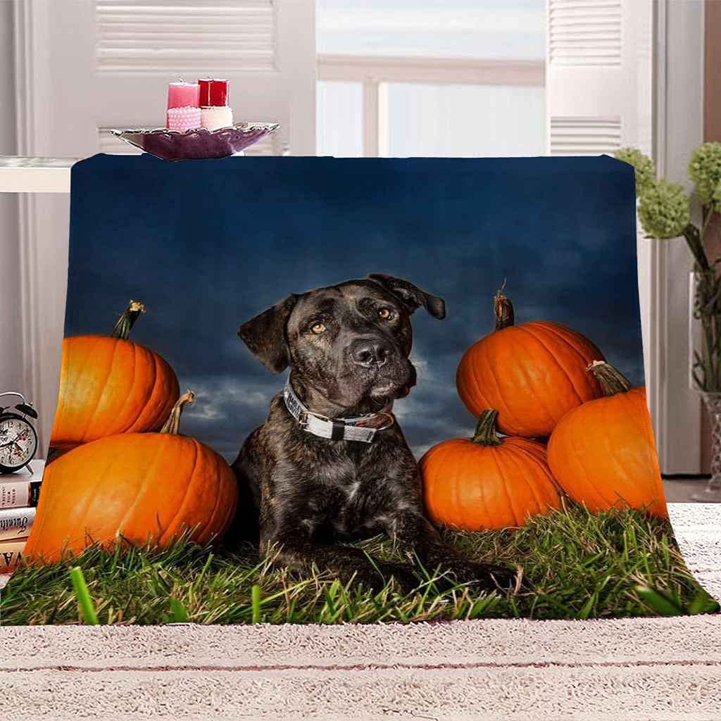 Couverture polaire flanelle microfibre jeté de lit imprimé chien noir 3D 130x150cm