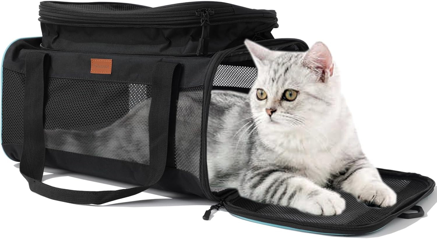 Airline-Approved Soft Cat & Small Dog Carrier – Lightweight, Expandable, Black Airline-Approved Soft Cat & Small Dog Carrier – Lightweight, Expandable, Black