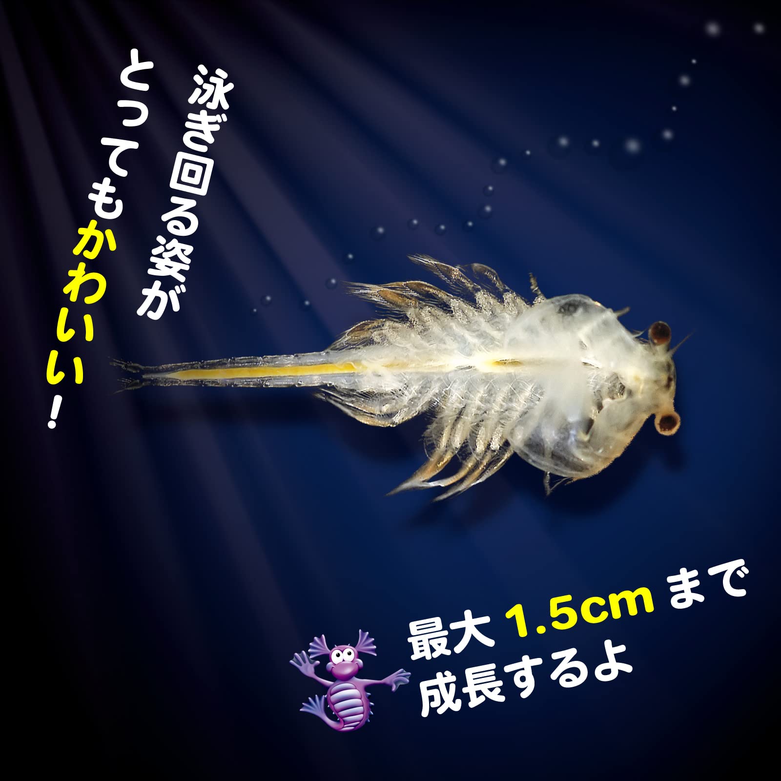 2022年限定カラー ALCHEMY GOTHIC: アクアドラゴン AQUA DRAGON